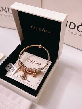 Pandora Bracelet + 7 Charms - Complete Set